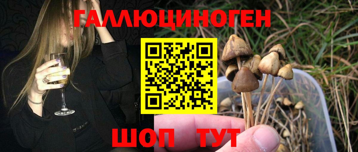 Галлюциногенные грибы Psilocybe  Вход с VPN  Советск 