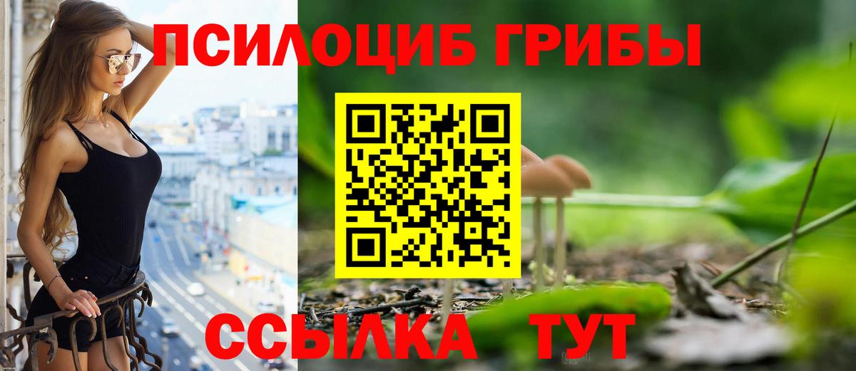 Галлюциногенные грибы мицелий Советск